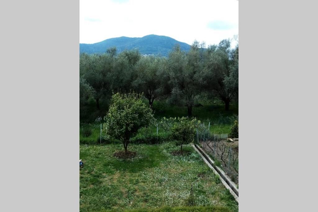 Υπεροχη Διαμονη... Achílleion Exteriér fotografie